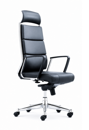 Executive Office Chair